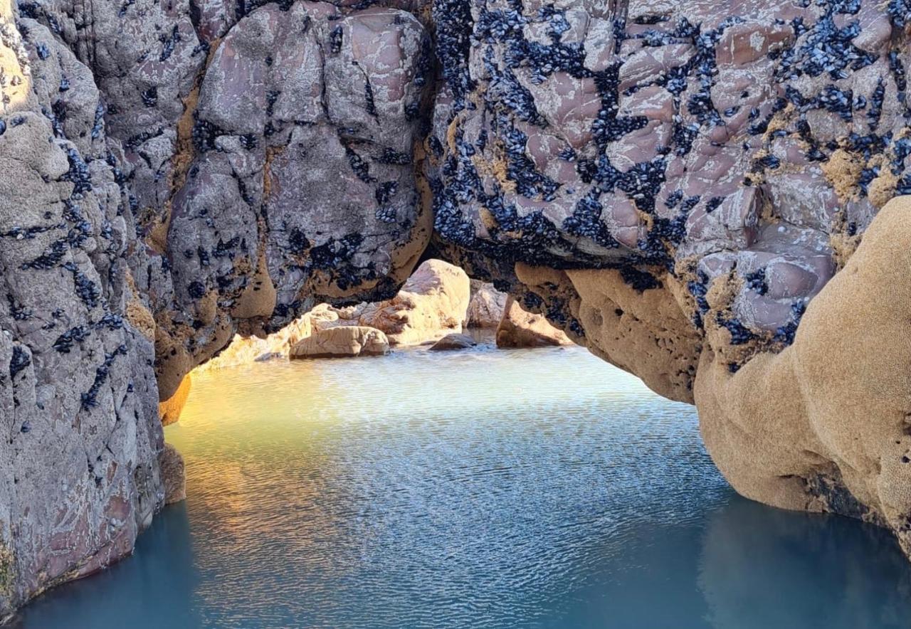 Rockpool - Б'юд Екстер'єр фото
